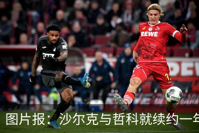 图片报：沙尔克与哲科就续约一年达成一致，年薪最高可达130万欧